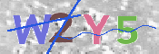 Obraz CAPTCHY